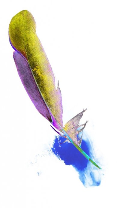 Poesie & Malen - Wenn Worte lebendig werden! - Neue Gruppe startet im März - Wir freuen uns auf Dich!      