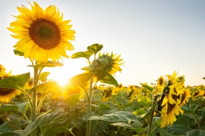 Komm in unser Team! Bürokauffrau für Büromanagement (W/M/D) 20 Wochenstunden (Mo-Do) 