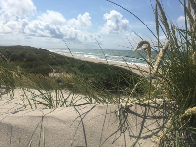 In Planung - Betreute Urlaube für Menschen mit beginnender Demenz und Angehörige im Ostseebad Rerik 2026 