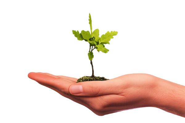 Unterstützen Sie Menschen mit Demenz – vielfältig und wirkungsvoll!